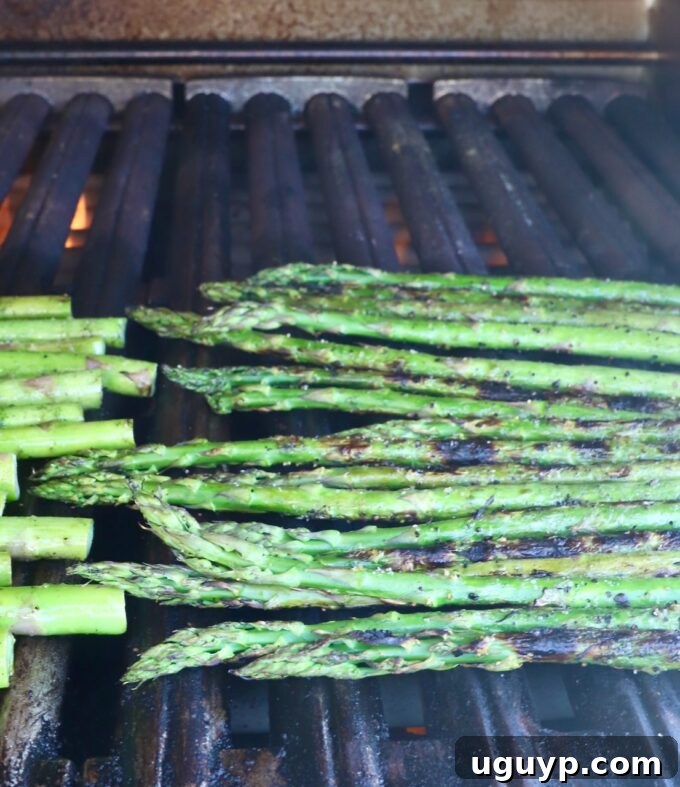 Fresh, seasoned asparagus spears cooking directly on a hot grill.