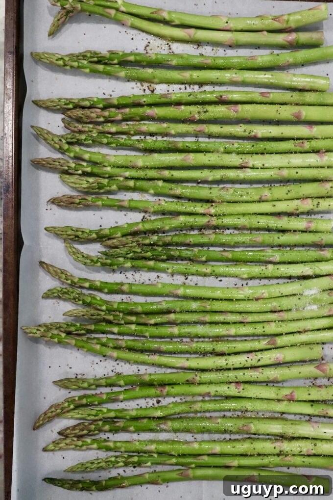 Seasoned asparagus spears arranged on a baking sheet, ready for roasting.