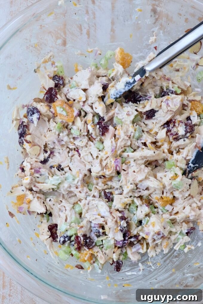 A freshly prepared chicken salad in a large glass bowl, being gently tossed with kitchen tongs.