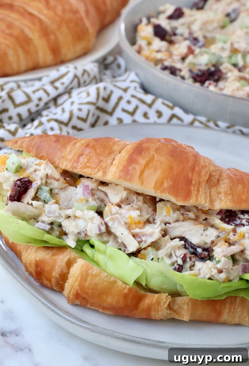 A delightful chicken salad served on a flaky croissant with fresh lettuce, ready to be enjoyed.