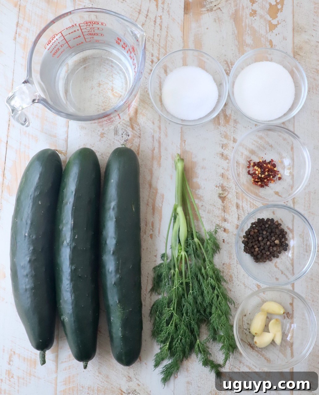 An array of fresh ingredients for homemade pickles, including cucumbers, dill, garlic, and spices, arranged on a white wooden surface.