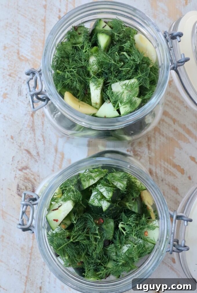 Vibrant cucumber spears and fresh dill arranged in glass jars, awaiting the pickling brine.