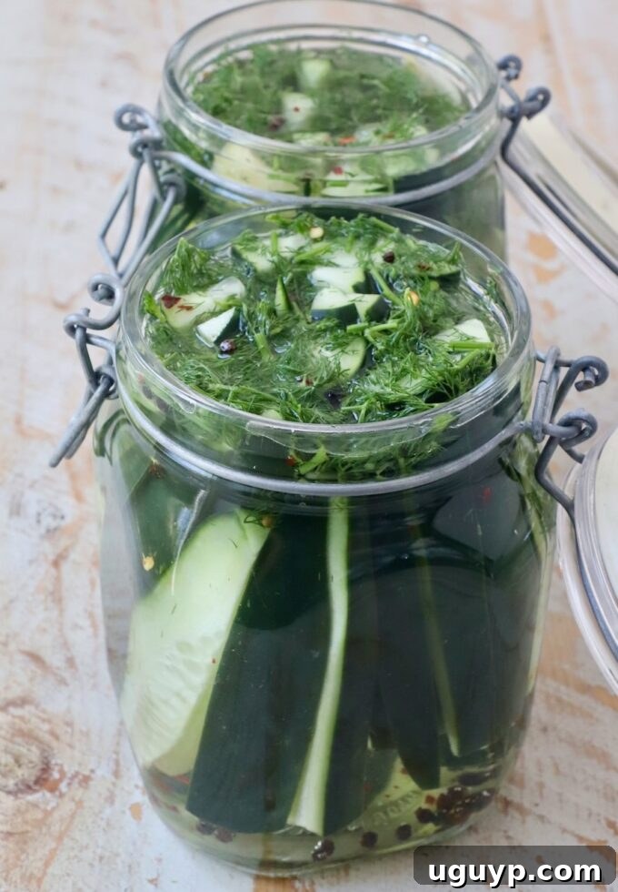 Glass jars filled with cucumber spears, dill, and garlic, with pickling brine being poured over them.