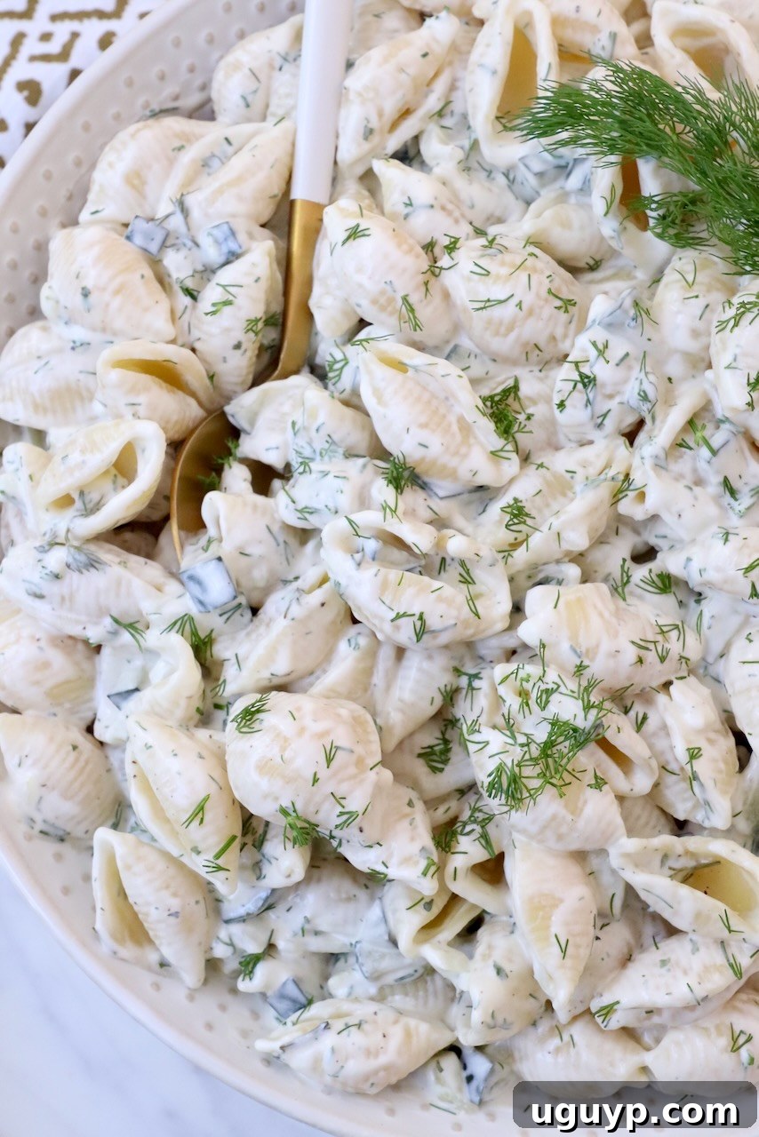 creamy pasta salad in bowl topped with fresh dill