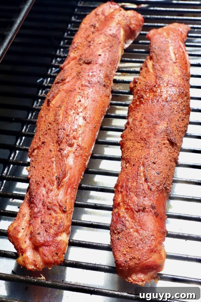 smoked seasoned pork tenderloins on smoker