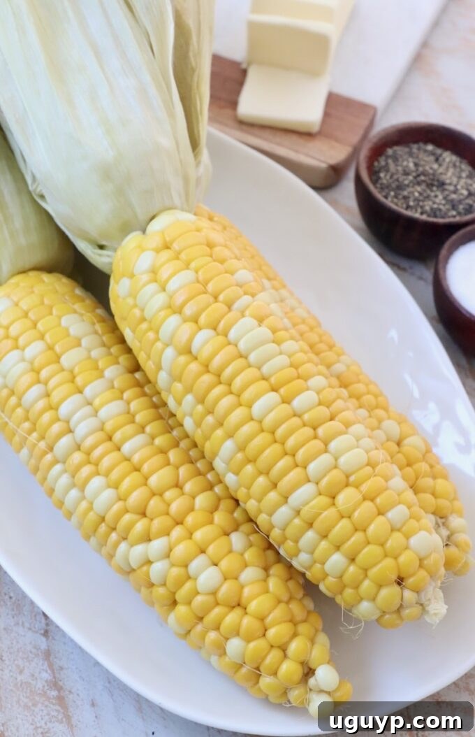 Oven-roasted corn on the cob on a plate, husks removed.
