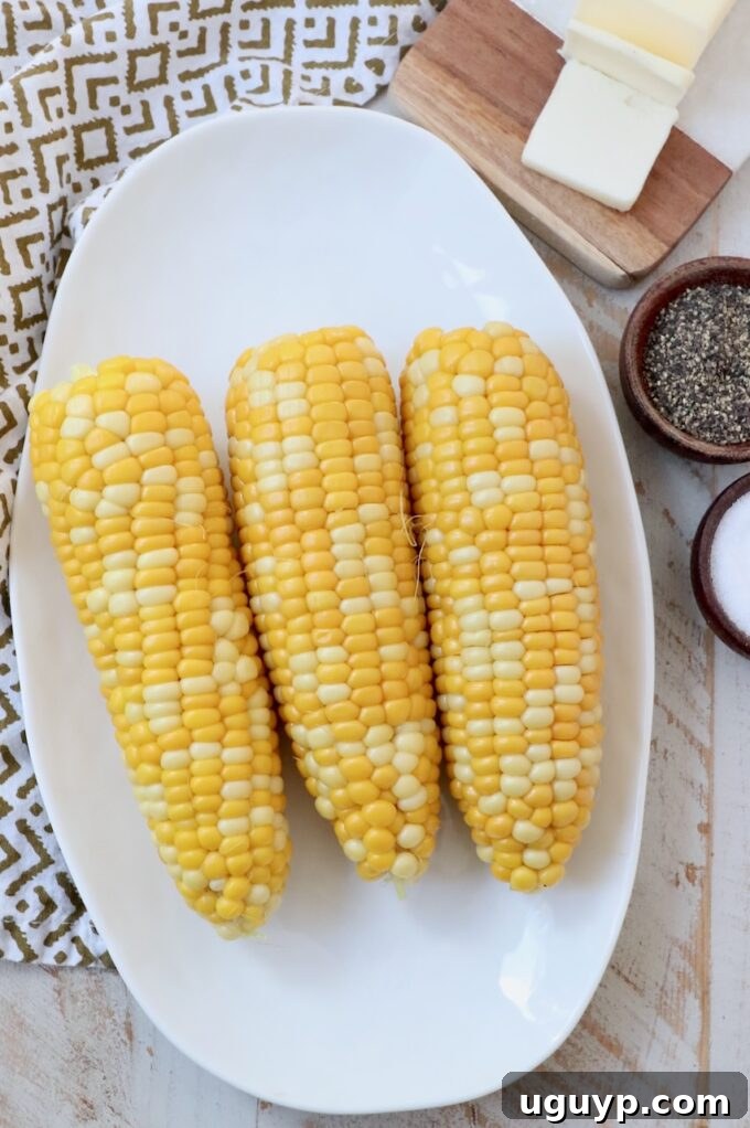 Boiled corn on the cobs arranged neatly on a white plate.