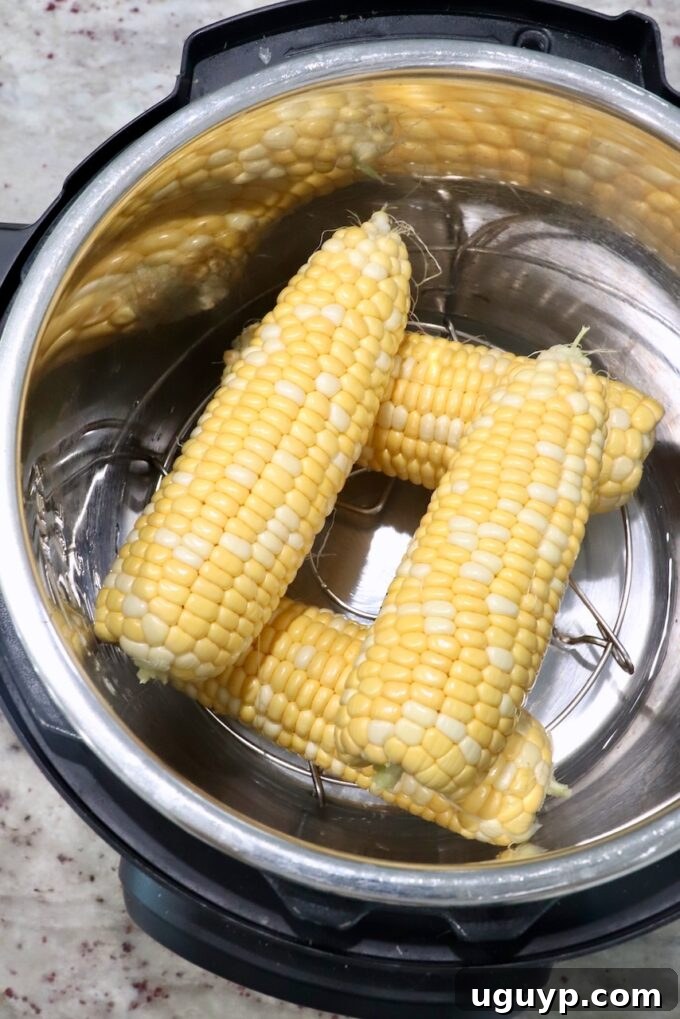 Uncooked ears of corn stacked inside an Instant Pot pressure cooker.