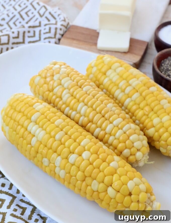 Cooked corn on the cob on a plate, ready to be seasoned.