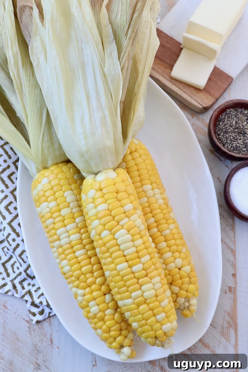 Cooked corn on the cob on a plate, garnished and ready to be enjoyed.