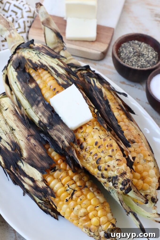 Grilled corn with husks on a plate, buttered and ready to eat.