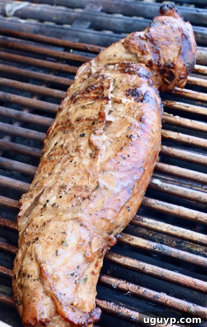 Marinated and partially grilled pork tenderloin cooking on the grill grates