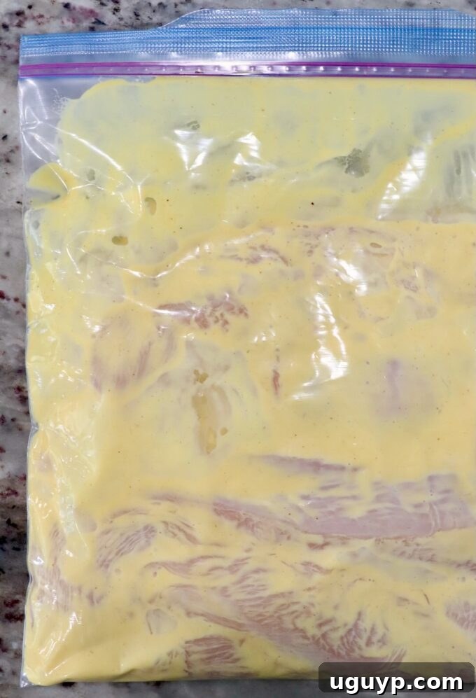 Chicken breasts marinating in honey mustard dressing within a sealed zipper bag, ready for grilling.