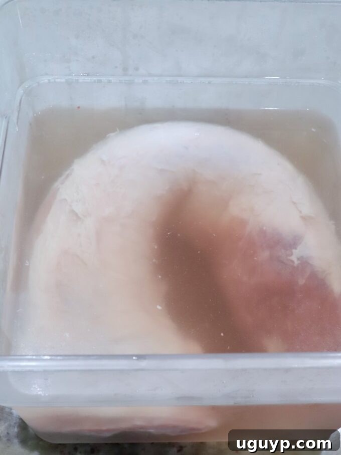 Pork loin soaking in a salt and sugar brine within a large plastic storage tub, essential for tenderization and moisture.