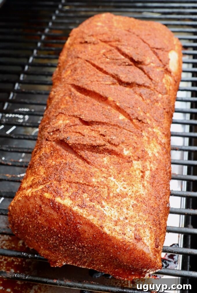 Seasoned pork loin carefully placed on the grill grates inside the smoker, ready to absorb deep smoky flavors and develop a delicious bark.