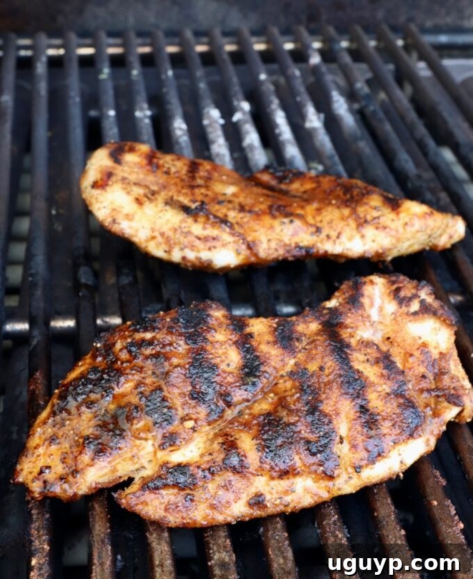 grilled chicken on grill