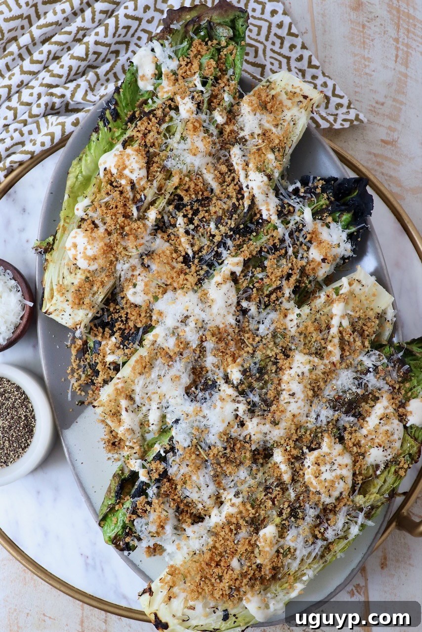 grilled caesar salad on serving platter topped with creamy dressing and toasted breadcrumbs
