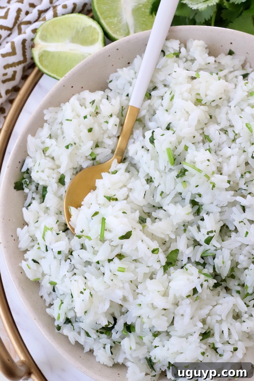 Freshly cooked cilantro lime rice served in a bowl with a spoon, ready to be enjoyed.