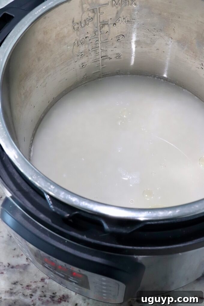 Uncooked white rice and water are added to an Instant Pot, showing the initial preparation step for cooking.