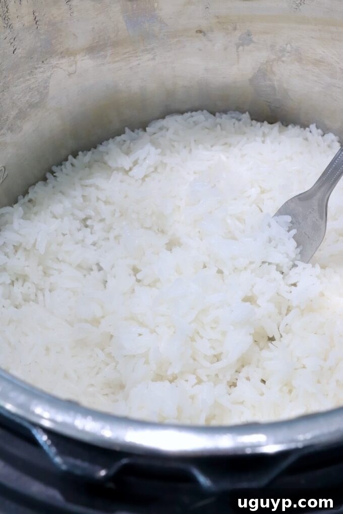 Fluffy, perfectly cooked white rice in an Instant Pot, gently fluffed with a fork after cooking.