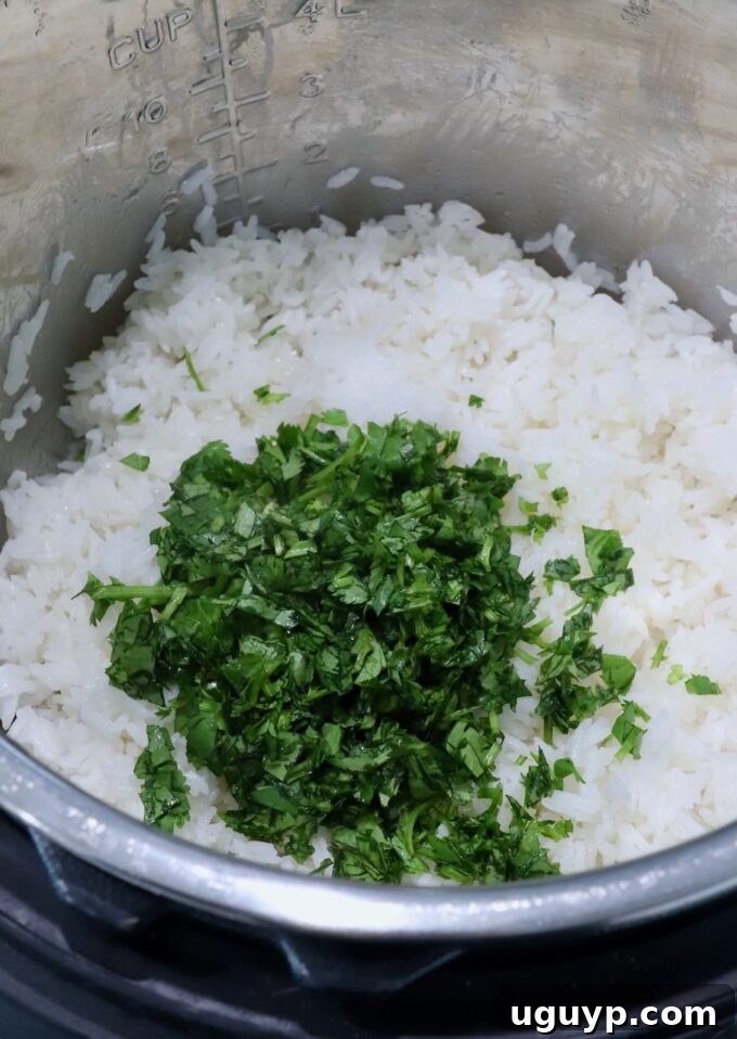 Freshly chopped cilantro being added to the cooked white rice in an Instant Pot, ready for mixing.