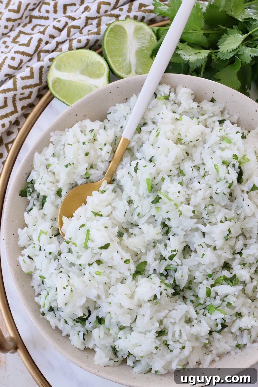 A close-up shot of cooked white rice mixed with vibrant fresh cilantro, served in a clean white bowl with a spoon.