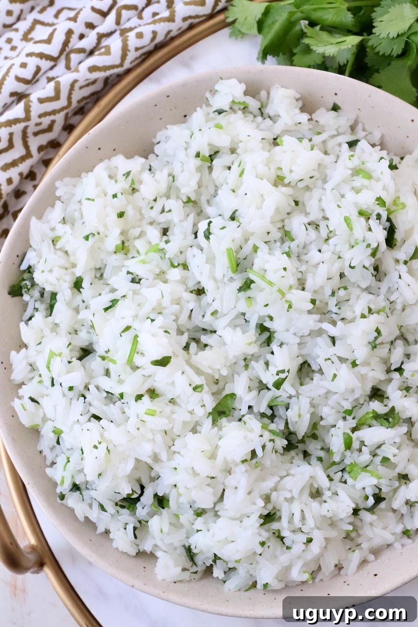 A serving of cilantro lime rice in a white bowl, garnished with fresh cilantro sprigs, ready to be enjoyed.