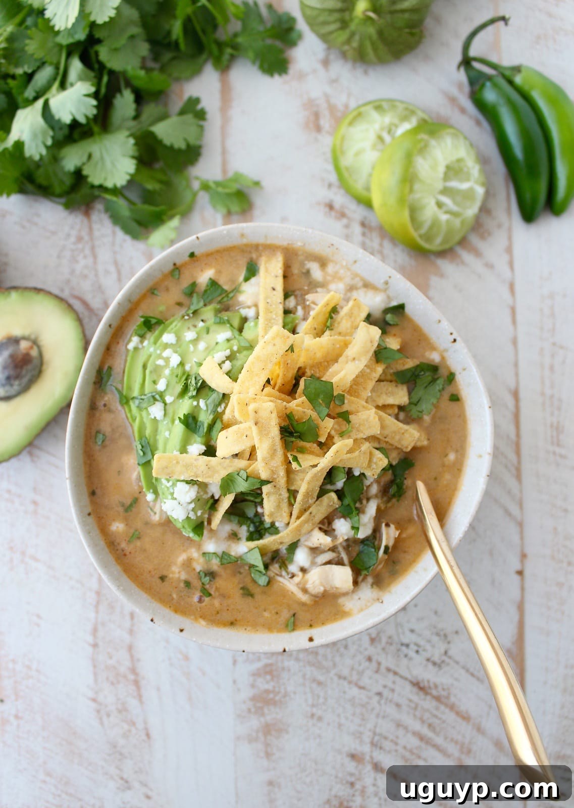 Overhead shot of a rustic speckled bowl filled with Green Chili Chicken Enchilada Soup, adorned with a single gold spoon, showcasing the rich texture and inviting color.