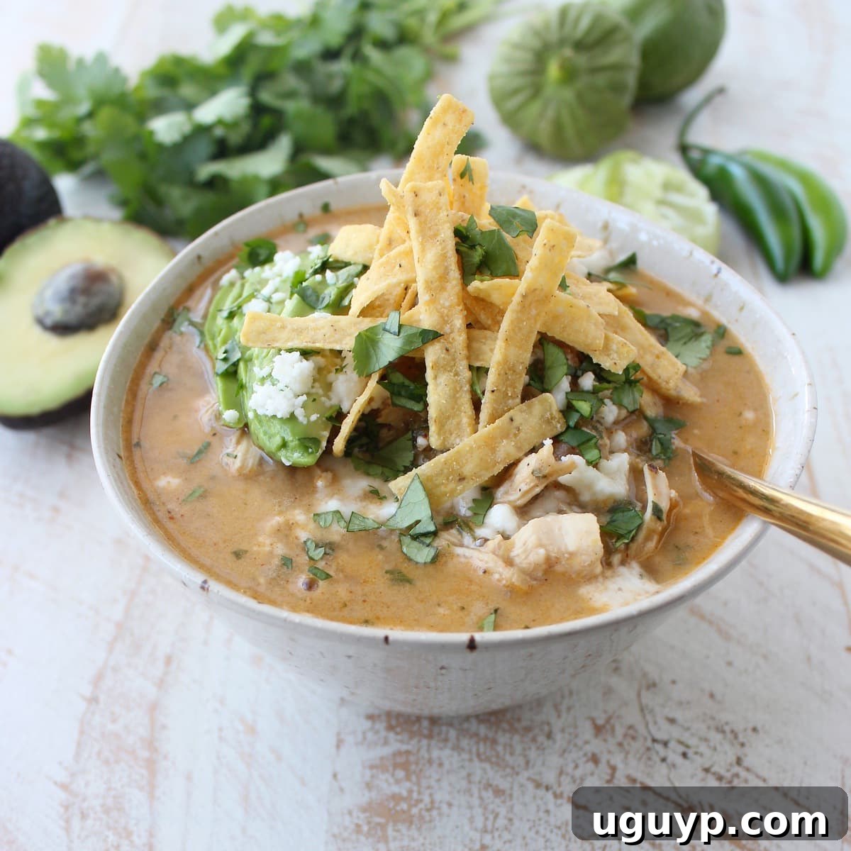 A vibrant bowl of Green Chili Chicken Enchilada Soup, generously topped with golden-brown tortilla strips, invitingly presented.