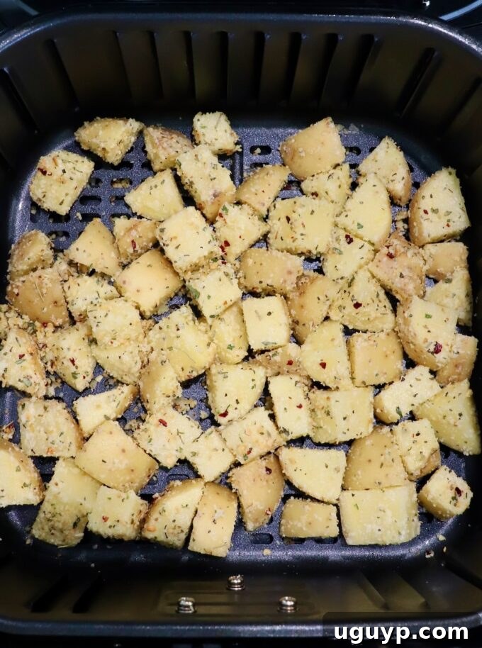 Seasoned potato cubes spread in a single layer in an air fryer basket, ready for cooking.