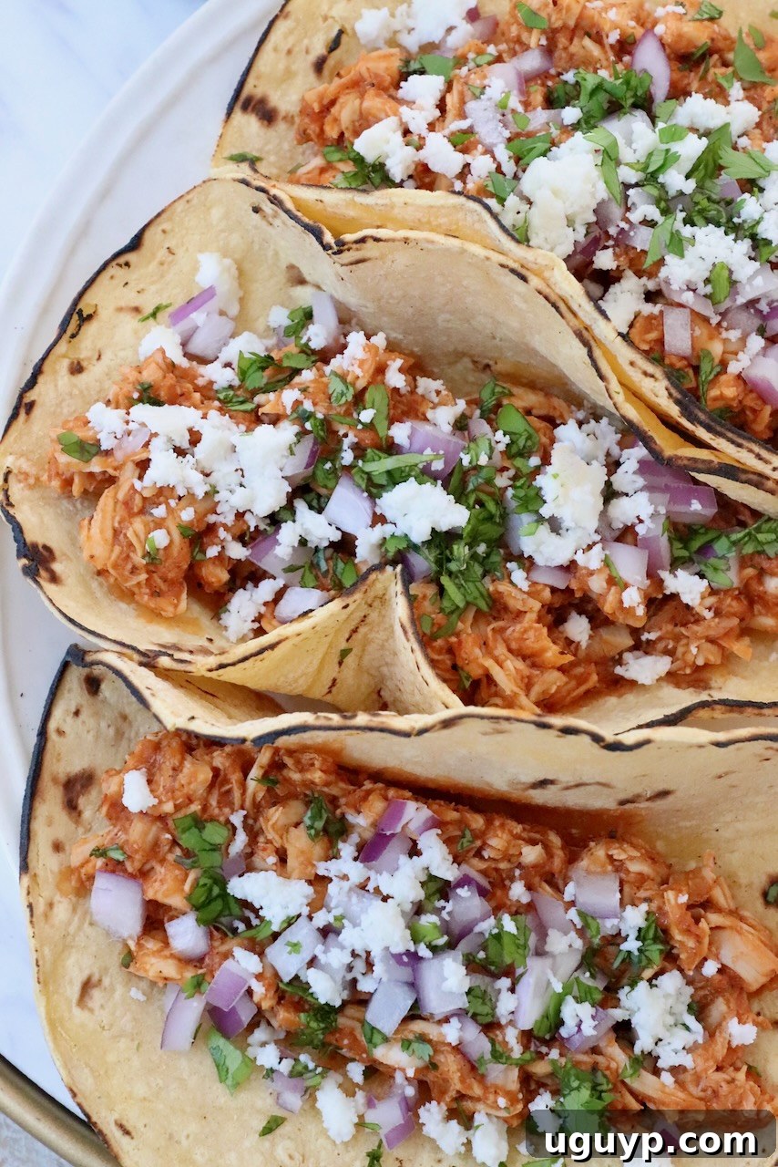 chicken tinga tacos on plate topped with diced onions and cilantro