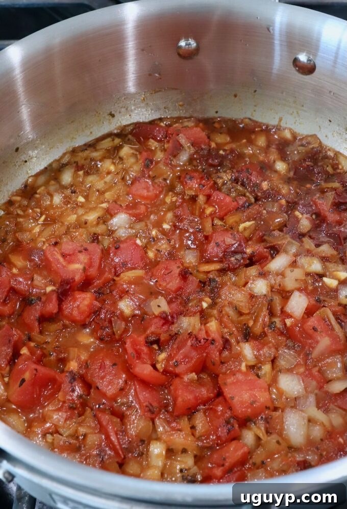 diced tomatoes in pan with diced onions, spices and chicken broth