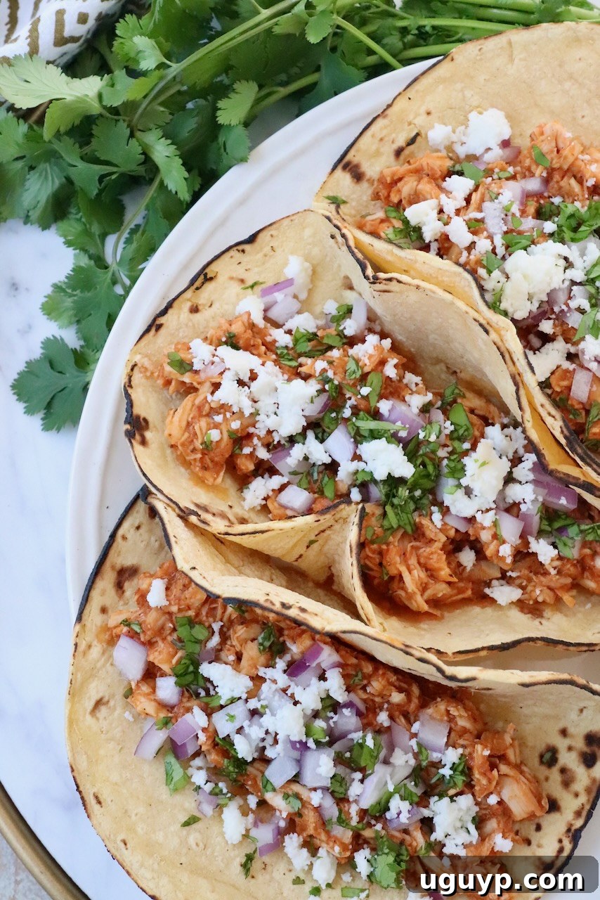 three tacos on plate filled with chicken tinga, cotija cheese, cilantro and onions