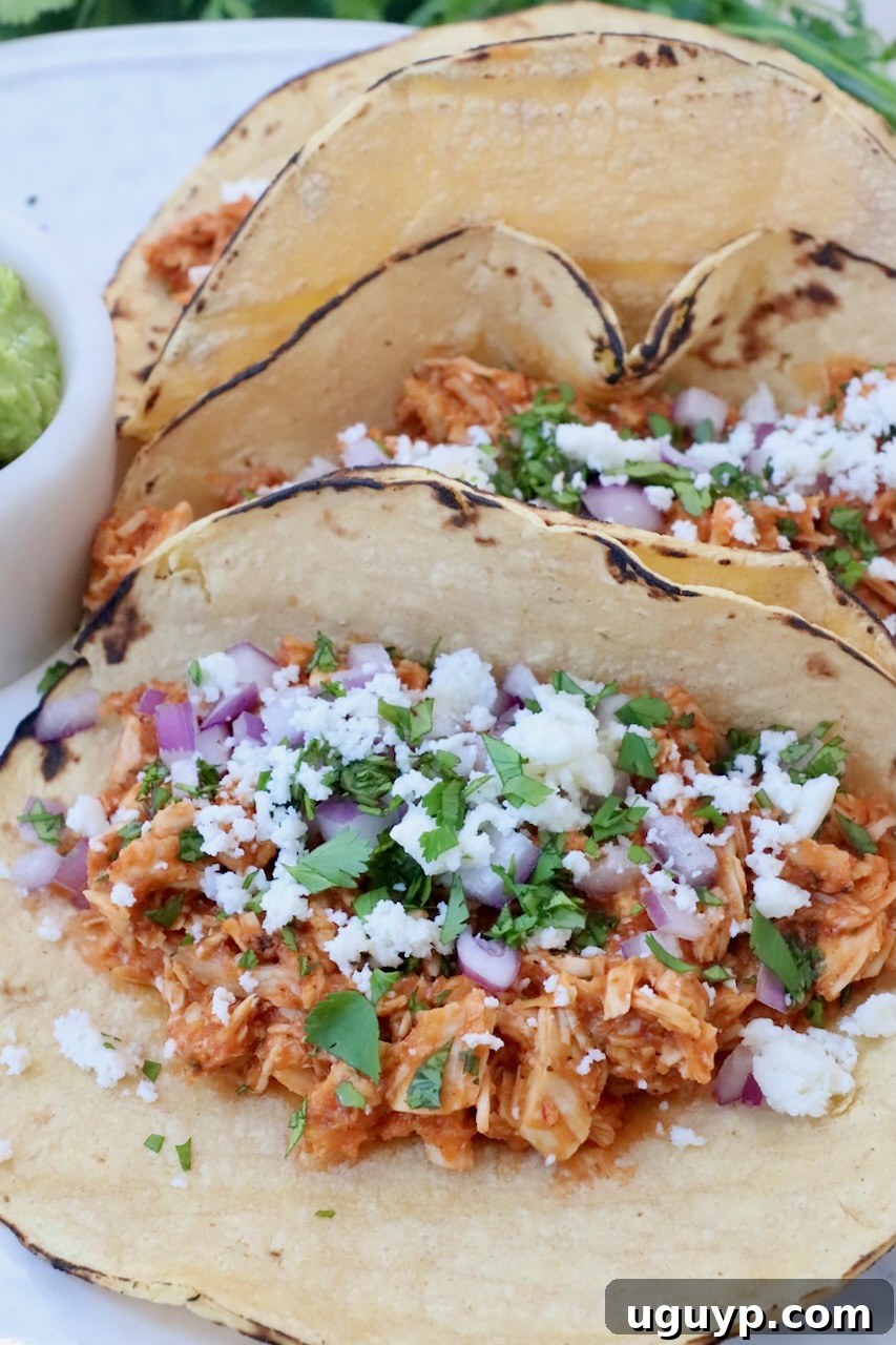 chicken tinga tacos on plate