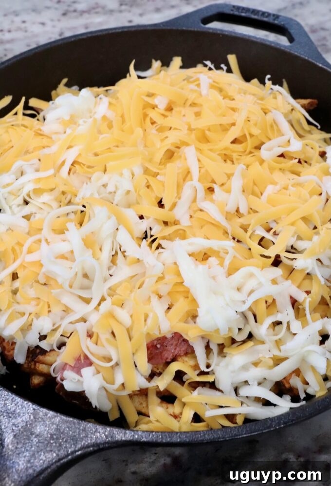 cooked french fries topped with diced grilled steak and shredded cheese in a cast iron skillet