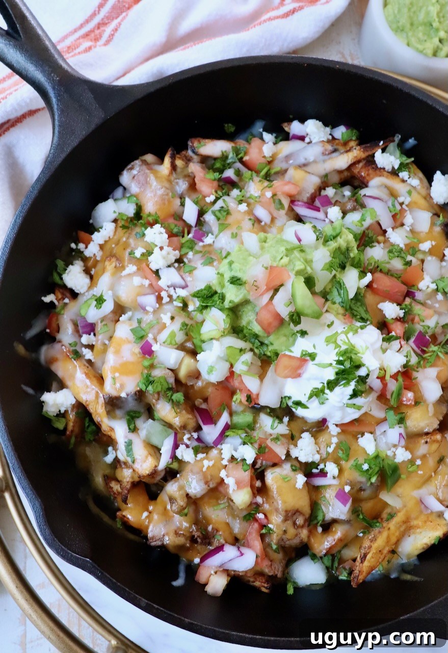 carne asada fries in cast iron skillet