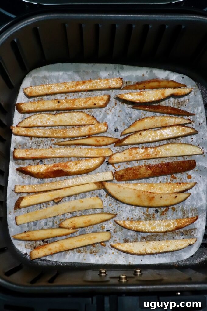 cooked french fries in air fryer basket