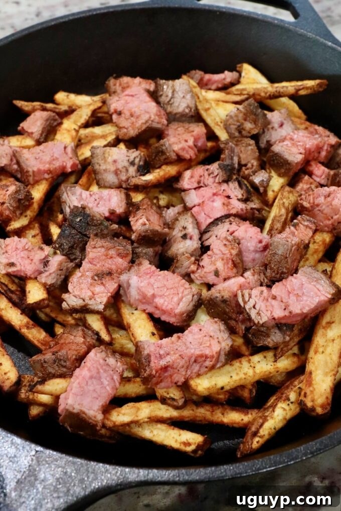 cooked french fries topped with diced grilled steak in cast iron skillet