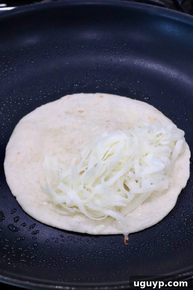 Shredded Oaxaca cheese melting on one half of a tortilla in a hot skillet, creating a gooey base.