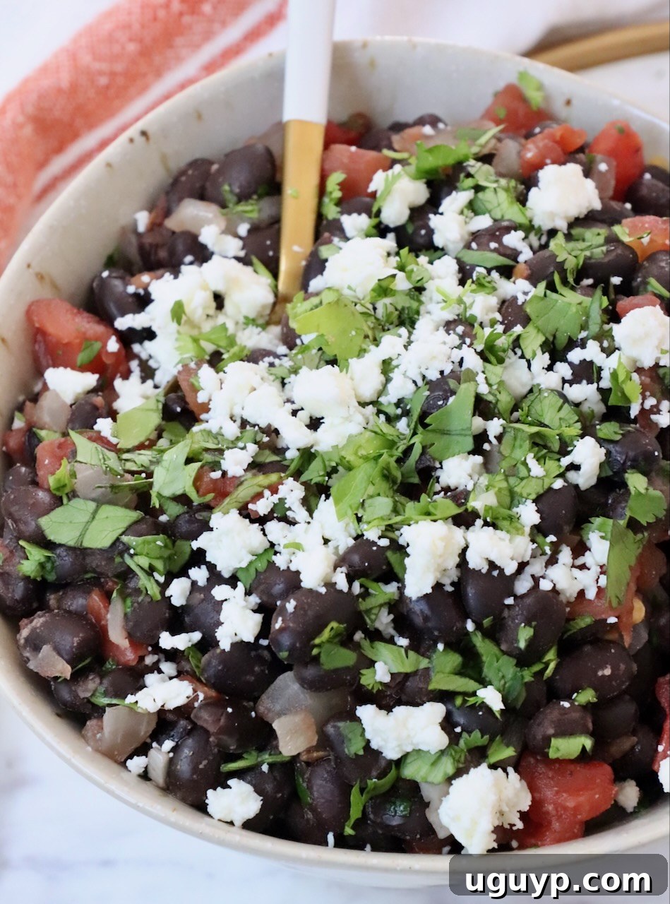 A vibrant bowl of Mexican black beans, garnished with crumbled cotija cheese and fresh chopped cilantro, ready to be served.