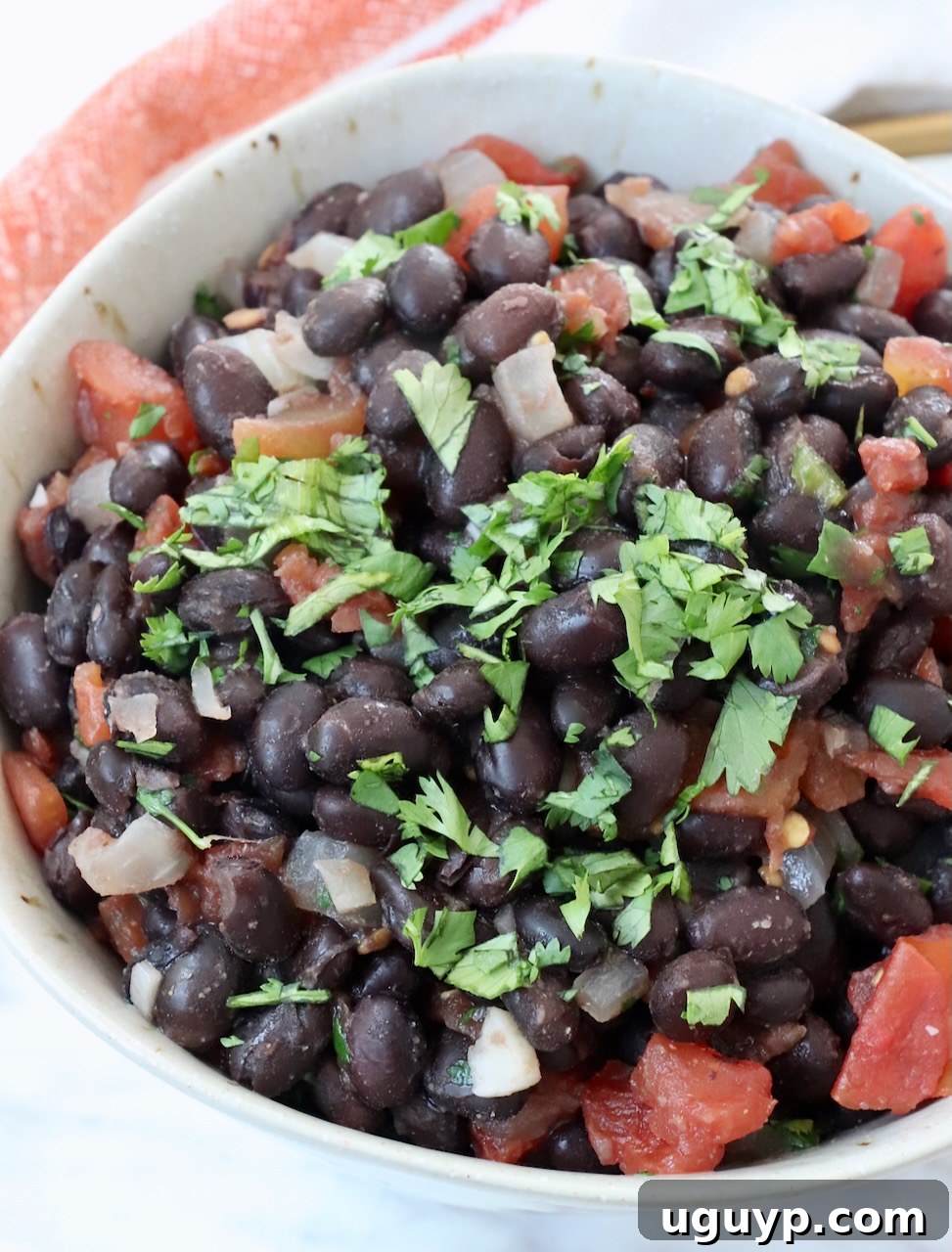 A bowl filled with rich, savory Mexican black beans and diced tomatoes, generously topped with fresh cilantro, capturing their appetizing texture.