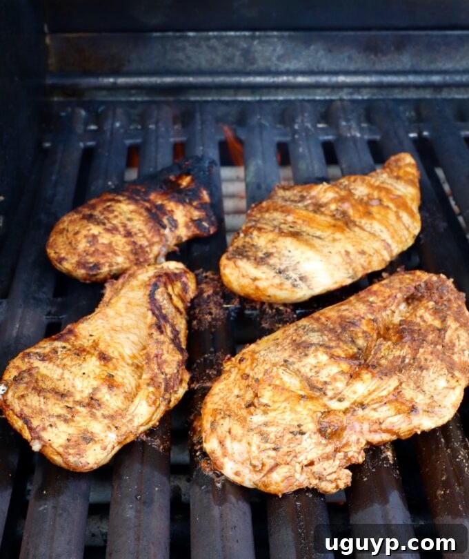 grilled chicken breasts on grill