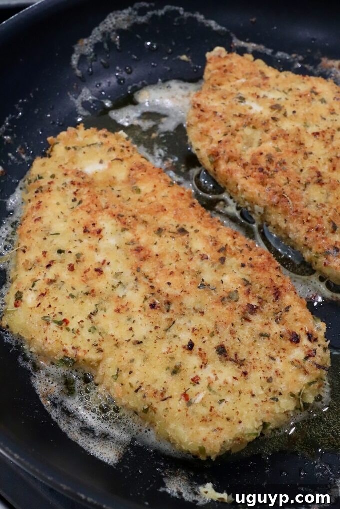 Cooked Parmesan Crusted Chicken breasts resting in a skillet on the stove.