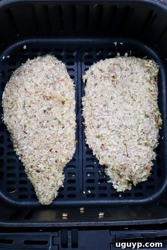 Breaded chicken breasts arranged in a single layer in an air fryer basket.