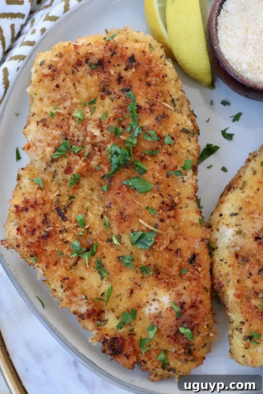 Parmesan Crusted Chicken on a plate, ready to be enjoyed.