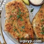 cooked parmesan crusted chicken on a plate