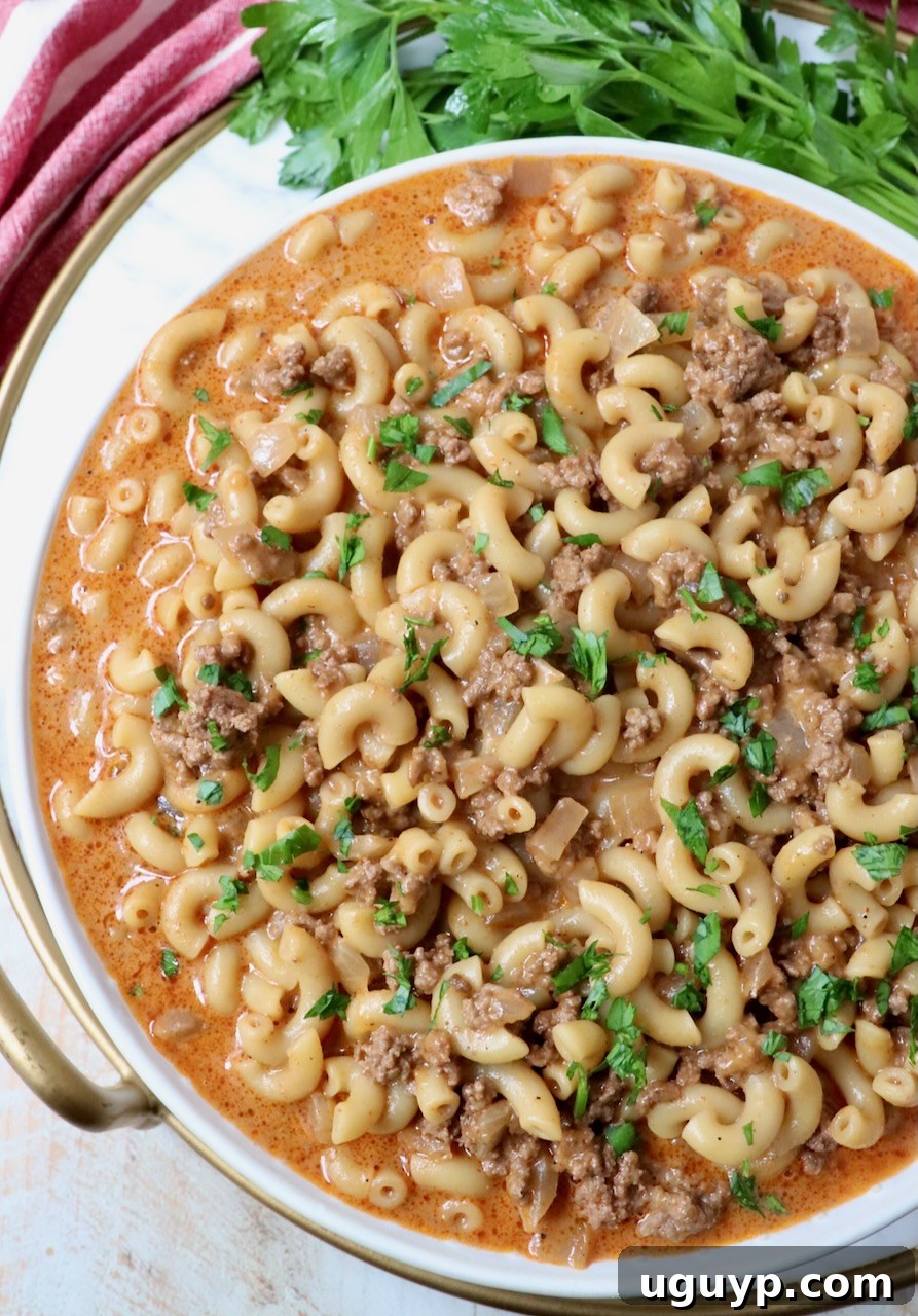 hamburger helper in bowl with fresh parsley on the side