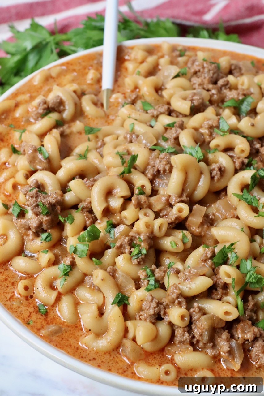 prepared hamburger helper in bowl with spoon