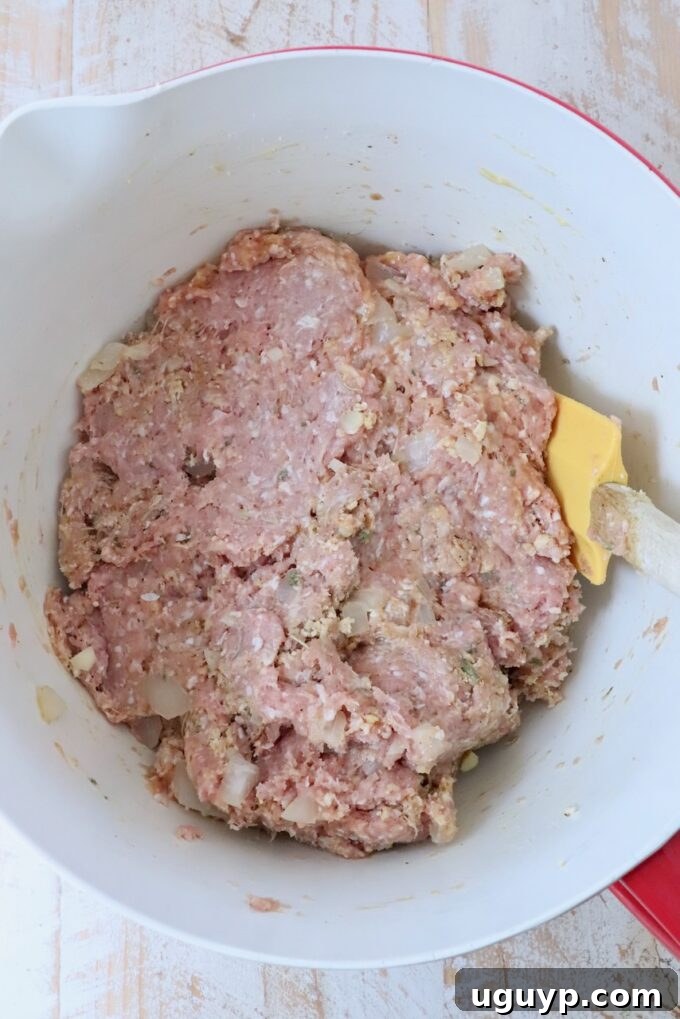 The fully combined mixture of turkey meatball ingredients in a large mixing bowl, ready for shaping.