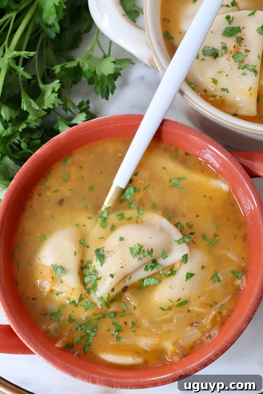 pierogi soup in bowls with a spoon, garnished with fresh herbs